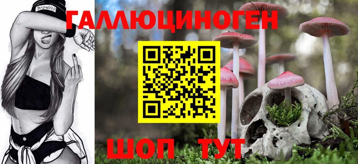 Новодвинск  Галлюциногенные грибы GOLDEN TEACHER  Вход с VPN  Псилоцибиновые грибы прущие грибы 