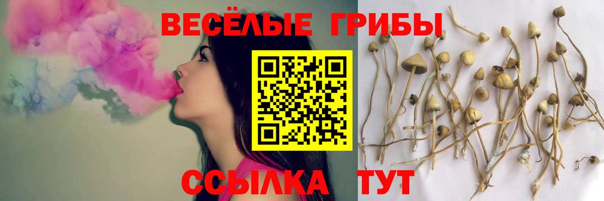 Галлюциногенные грибы MAGIC MUSHROOMS Новодвинск